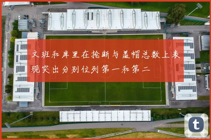 文班和库里在抢断与盖帽总数上表现突出分别位列第一和第二