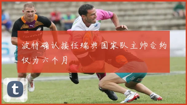 波特确认接任瑞典国家队主帅合约仅为六个月