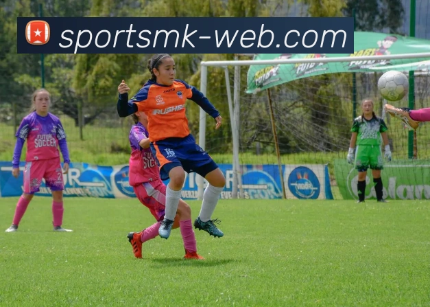 App Interface Preview