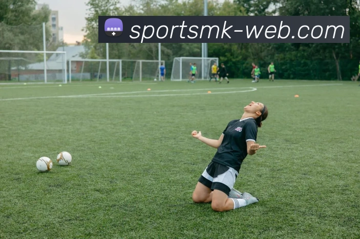 MK体育APP 封面图